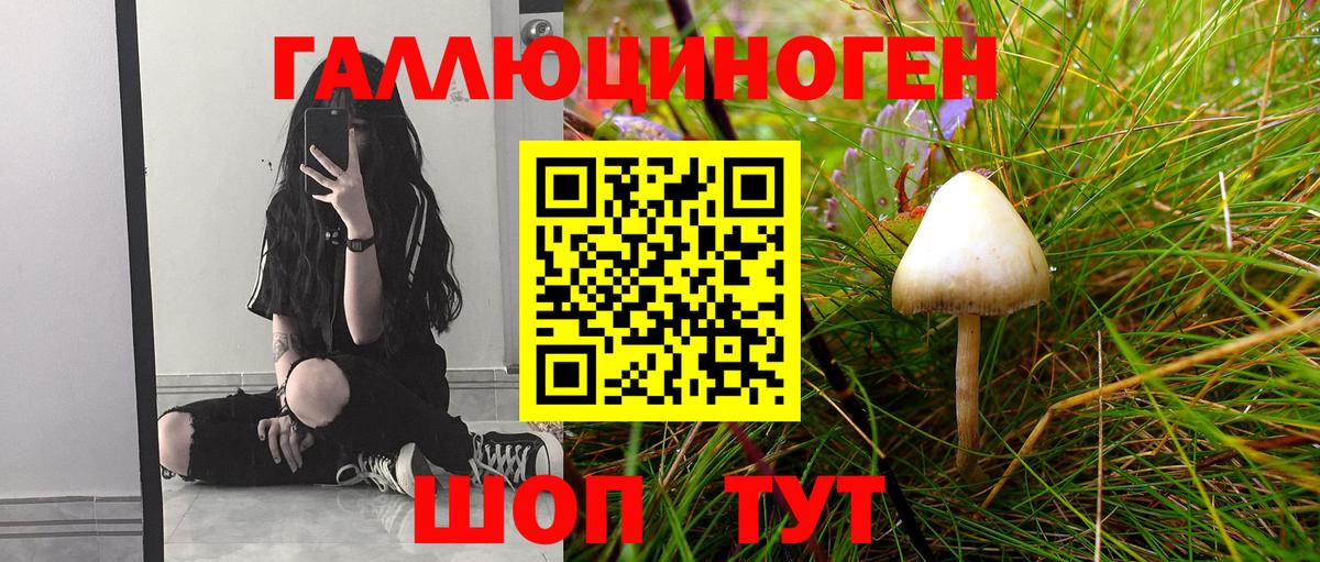 Орёл  купить закладку  Вход с VPN  Галлюциногенные грибы Psilocybine cubensis 